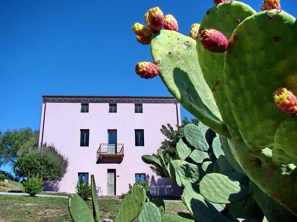 Maison d'hôtes Liscia Country Relais à Luras Extérieur photo